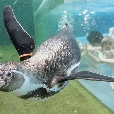 Sl Lounge, Апартаменты